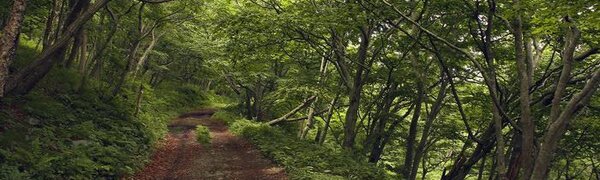 Атмосферные фронты накрыли Приморье в последние дни лета