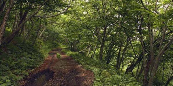 Атмосферные фронты накрыли Приморье в последние дни лета