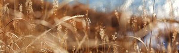 «Температурные качели»: всё о погоде в Приморье на этой неделе 