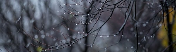 В Приморье ожидается значительное ухудшение погоды