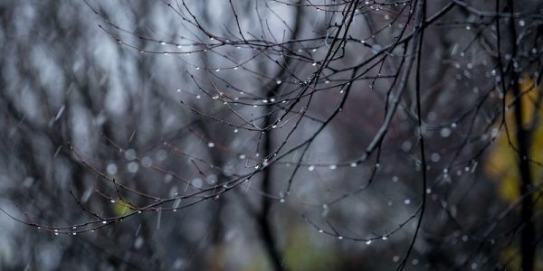 В Приморье ожидается значительное ухудшение погоды