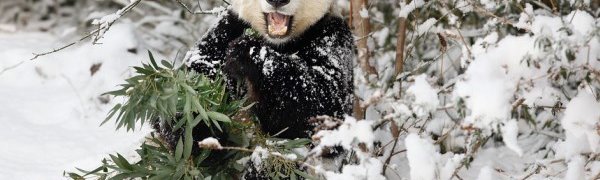 Холодный циклон накрыл Китай