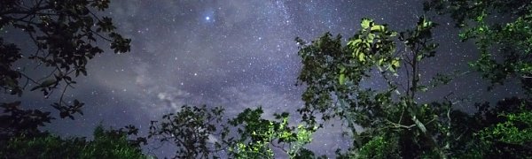 NASA рассказали, когда найдут внеземную жизнь