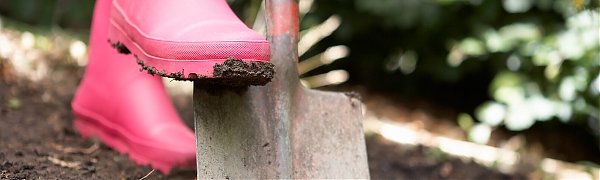 В России стали чаще интересоваться огородом