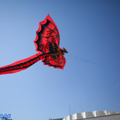 Фестиваль воздушных змеев