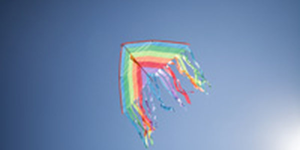 Фестиваль воздушных змеев