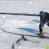 Во Владивостоке прошла уникальная арт-акция «Золотая рыбка» (ФОТО)