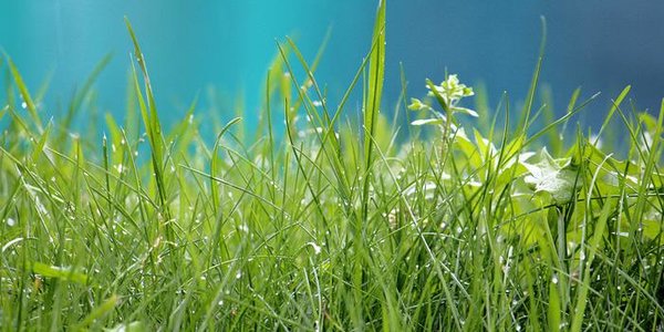 В выходные во Владивостоке было жарко и сыро