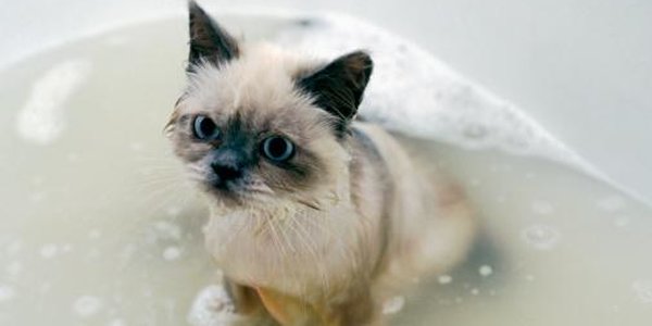 Возвращение горячей воды для части Владивостока вновь откладывается