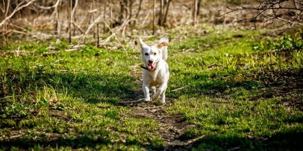 Последняя неделя апреля в Приморье будет умеренно тёплой