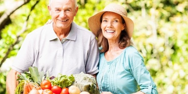 Учёные: Проживание за городом продлевает жизнь на 12 %