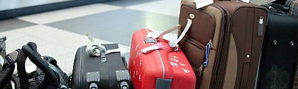 В России приняли закон об отмене норм бесплатного провоза багажа