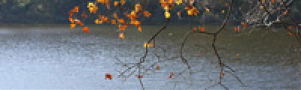 Влияние циклона на погоду в Приморье ослабевает