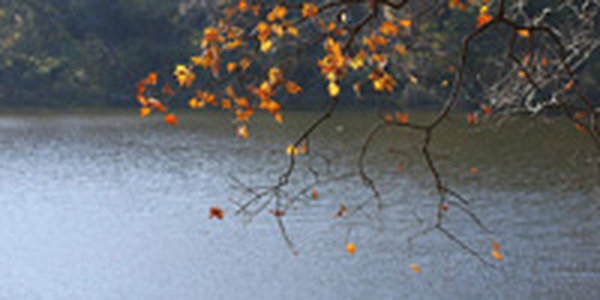 Влияние циклона на погоду в Приморье ослабевает