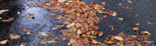 Утром в воскресенье во Владивостоке начнется дождь 