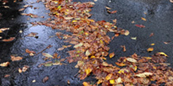 Утром в воскресенье во Владивостоке начнется дождь 