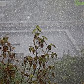 Причина сильных дождей и гроз в Приморье — атмосферные фронты