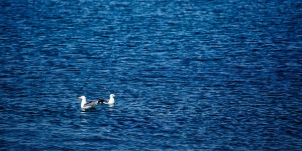 Завтра днем в Приморье воздух прогреется до +30 °C