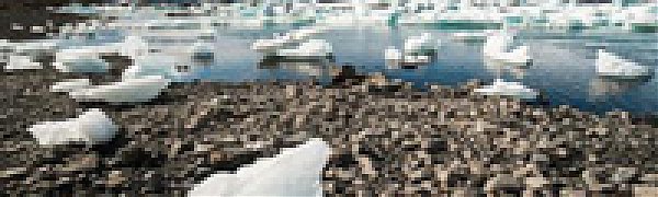 Почему климат перестал теплеть, обсудят в Швеции 