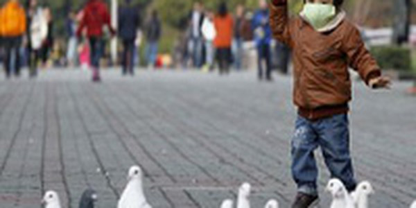 Число заболевших птичьим гриппом в Китае превысило 30 человек