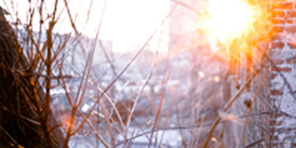 Сегодняшний день не преподнесет погодных сюрпризов Приморью 