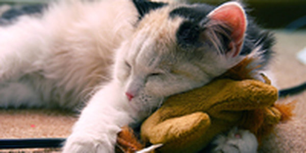 Какую погоду ждать в выходные дни?