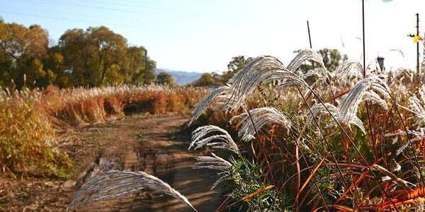 Cолнечная со слабым ветром погода ожидается в Приморье в пятницу