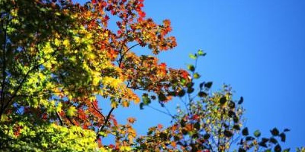 Синоптики рассказали, когда воздух в Приморье прогреется до +23°С