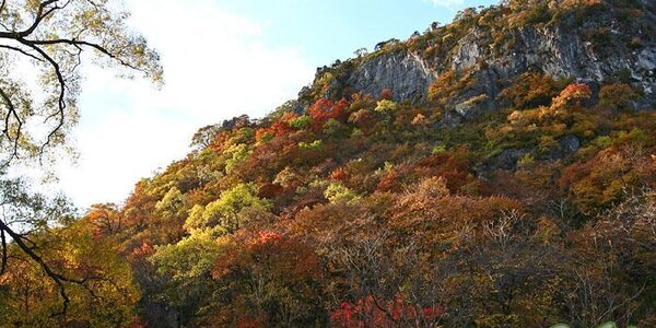 Похолодание пришло в Приморье после дождей
