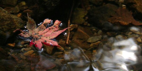 До 27 мм осадков выпало в Приморье в первые выходные октября
