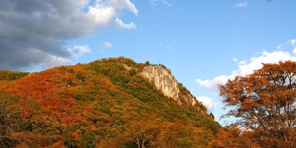 На этой неделе больших сюрпризов погоды в Приморье не ожидается