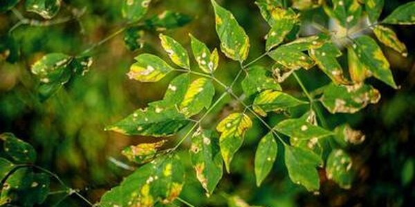 Потепление и небольшой дождь: всё о погоде в Приморье в четверг