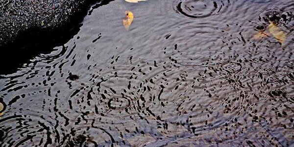 Дождь с сильным ветром и грозами испортит погоду в Приморье в воскресенье