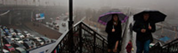 В четверг по всему Приморью прошли дожди, и лишь на востоке — снег