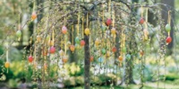 Немецкий пенсионер украсил дерево тысячами пасхальных яиц