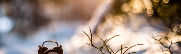 Владимир Путин подписал закон о переходе на зимнее время