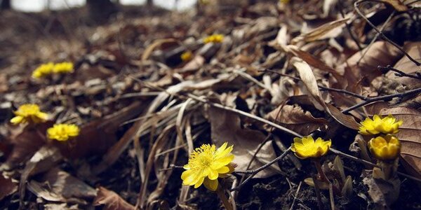 До +9°С прогреется воздух в Приморье в пятницу