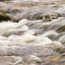Водность большинства рек Приморья повышенная относительно нормы для этого времени года
