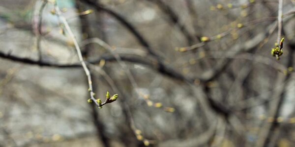 Контрастная погода ожидается в Приморье на этой рабочей неделе