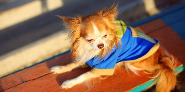 Синоптики рассказали о погоде на последних выходных марта в Приморье