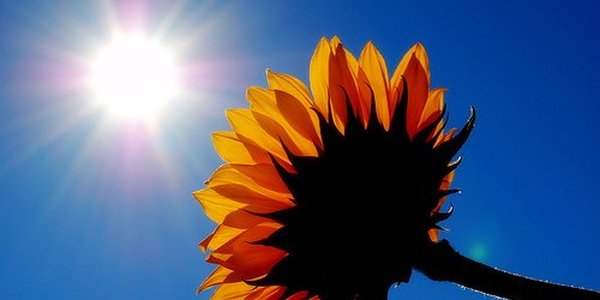 Обновленная Примпогода. Оставьте свой комментарий.