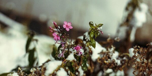 Во Владивостоке прошёл первый снег и заметно похолодало