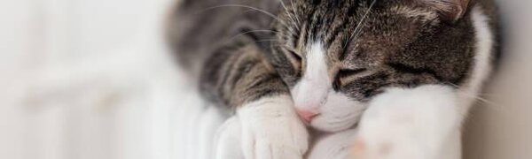 В Роспотребнадзоре назвали идеальную для здоровья температуру в квартире