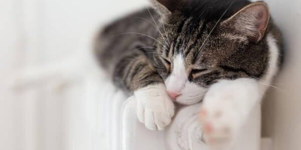 В Роспотребнадзоре назвали идеальную для здоровья температуру в квартире