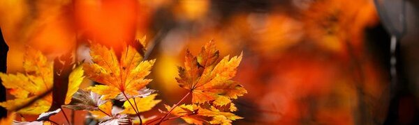 С середины недели температурный фон в Приморье начнёт повышаться