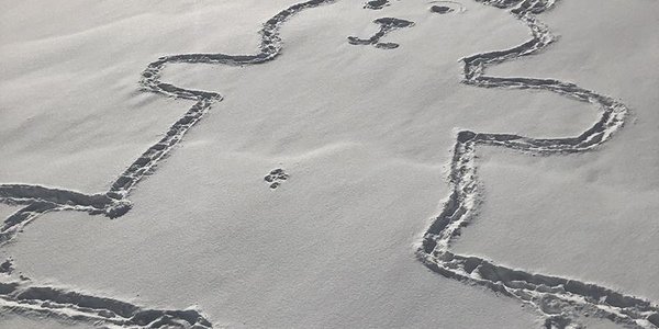 Канадцы разгадывают тайну нарисованного на снегу медведя