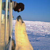 Лучшие снимки Арктики(ФОТО)