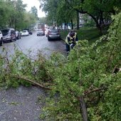 Во Владивостоке после разгула стихии убрали более 20 упавших деревьев