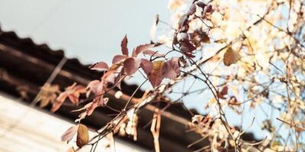 Температуры воздуха в Приморье идут на повышение