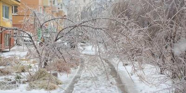 Чем дышал Владивосток с 21 по 30 ноября?